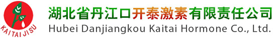 Shaoxing Xingxin New Materials Co., Ltd.